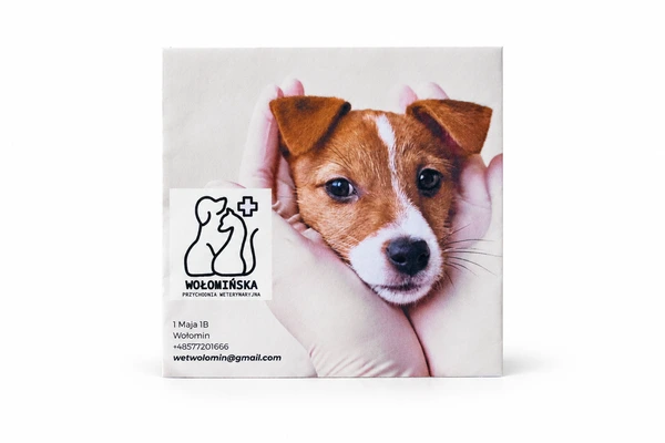 Obálky společnosti Veterinární kliniky Wołomin – CD/DVD